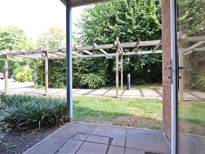 Picture 15